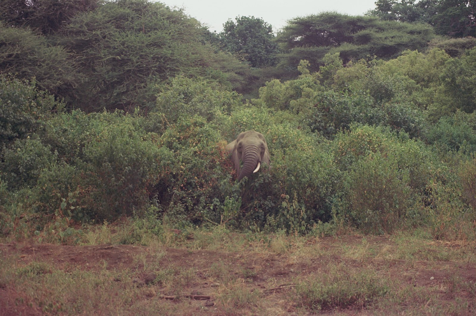 Film photograph — 0464
