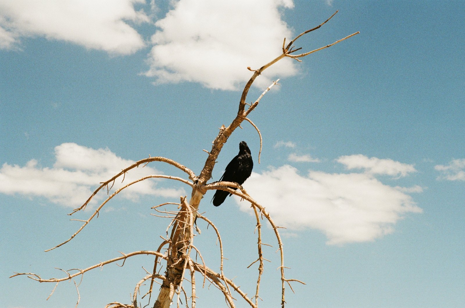 Film photograph — Film Photo 1759