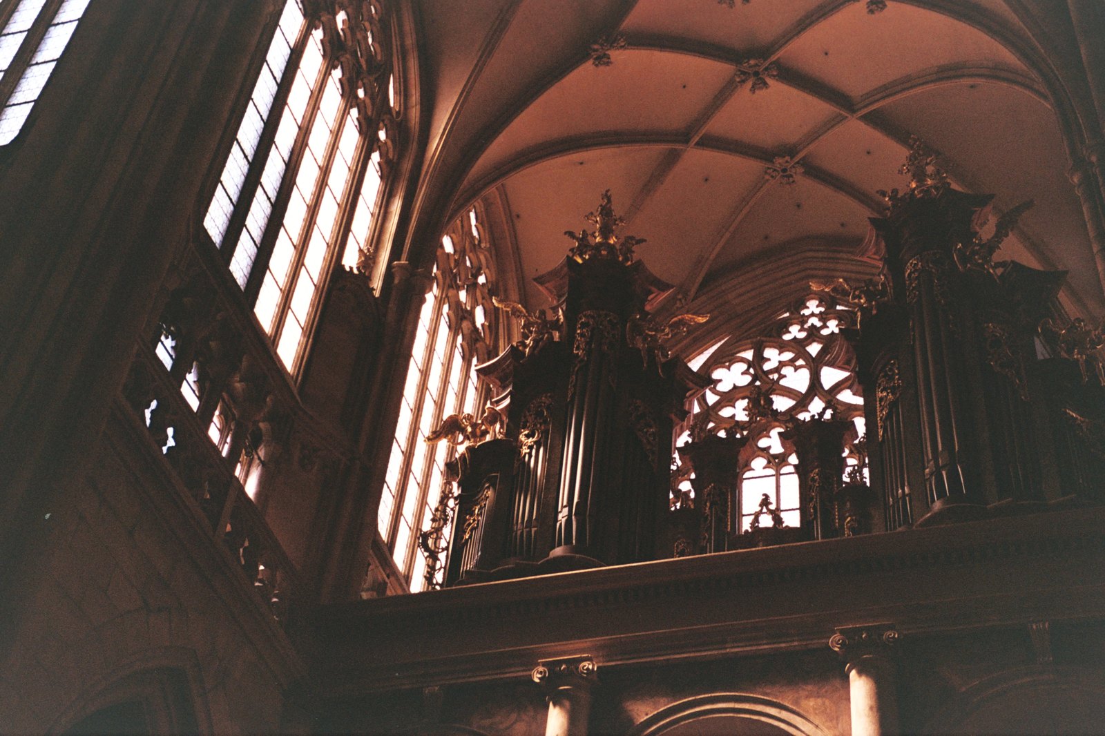 Film photograph — Film Photo 3795
