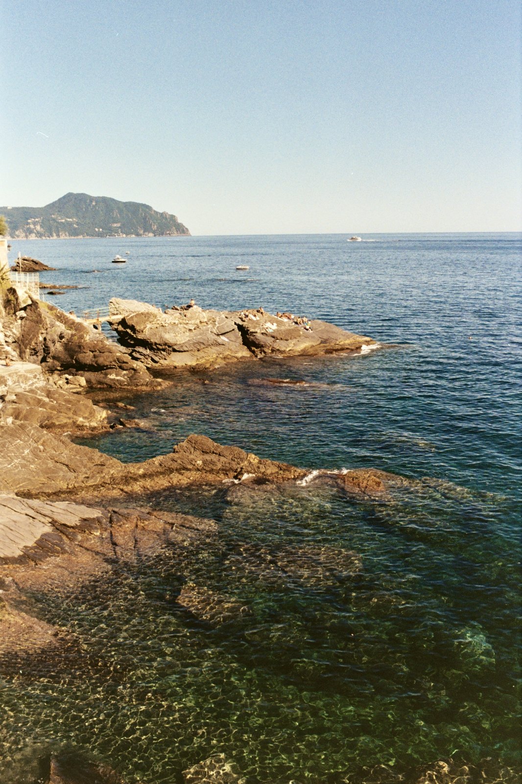 Film photograph — Film Photo 3834