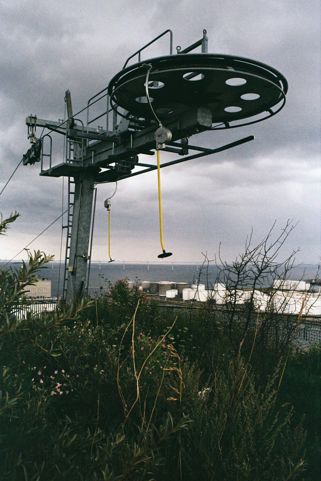 Film photograph — Film Photo 3962
