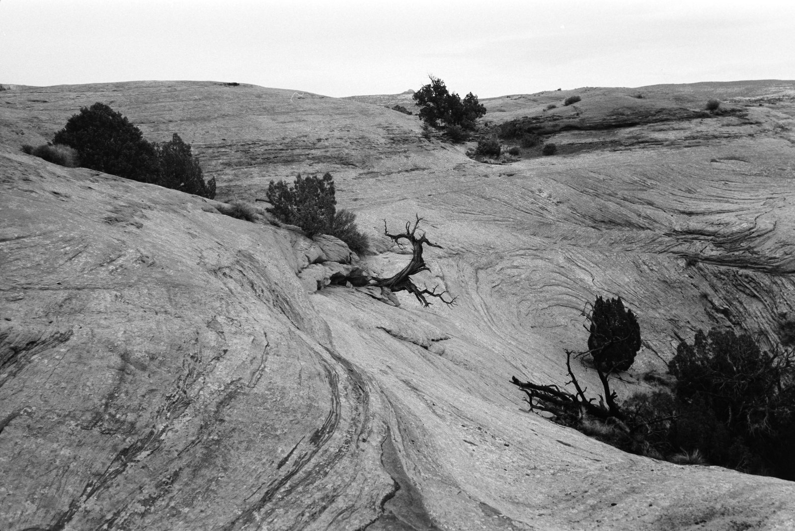 Film photograph — Film Shot 6609