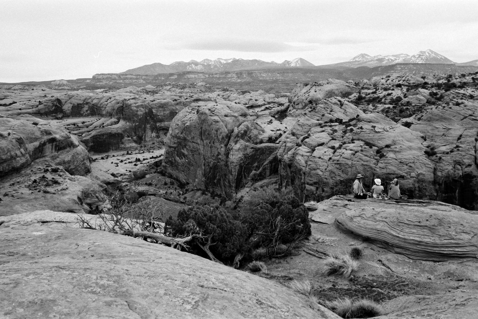 Film photograph — Film Shot 6611