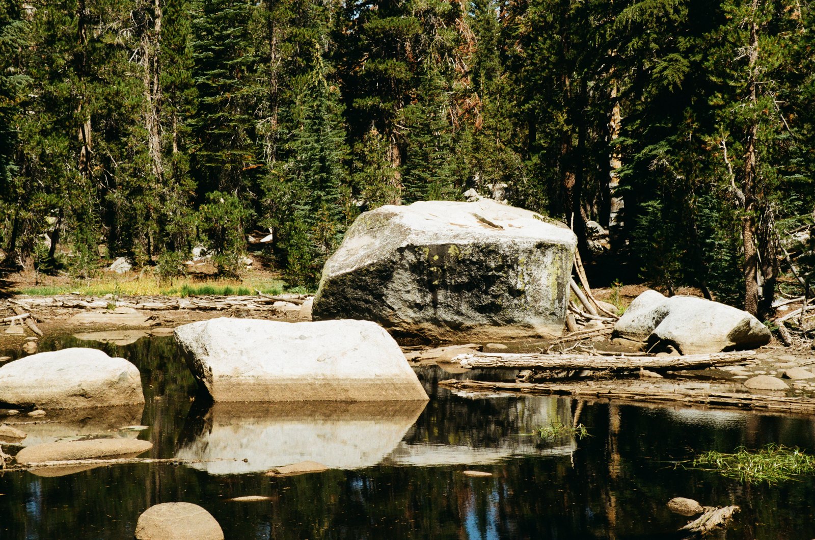 Film photograph — reflection